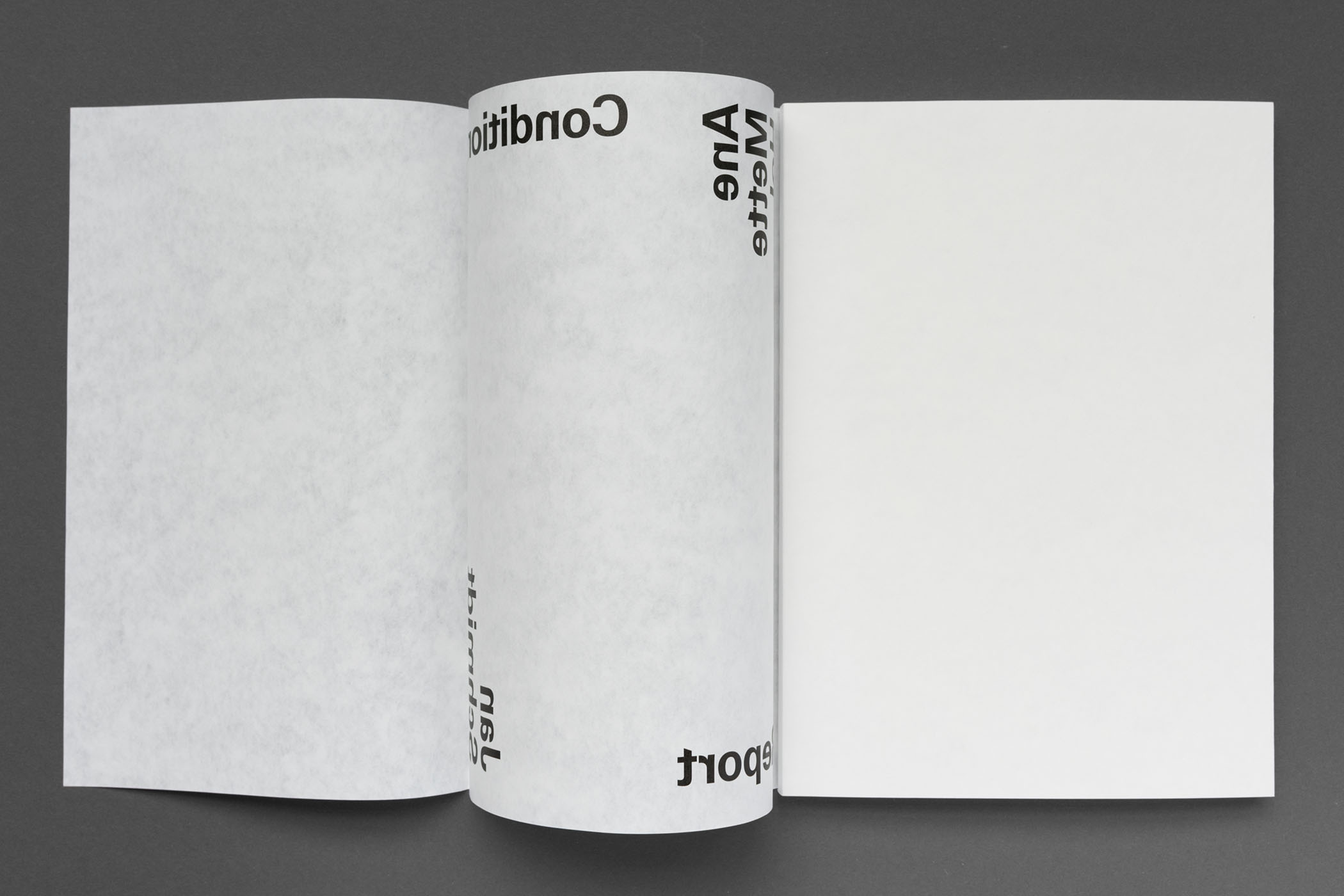 Ane Mette Hol, Jan Schmidt: Condition Report